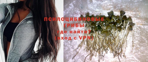 гашик Сафоново
