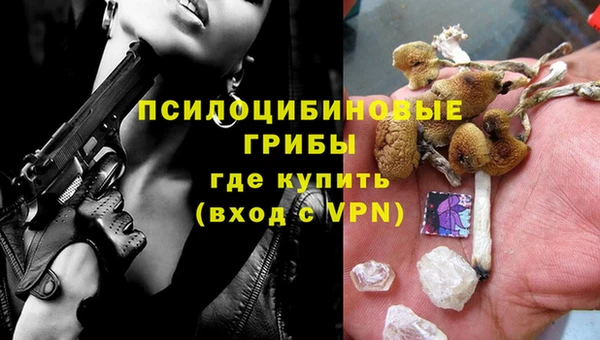 гашик Сафоново